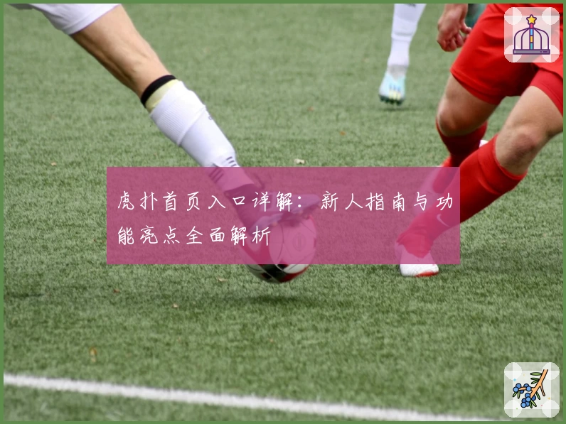 虎扑首页入口详解：新人指南与功能亮点全面解析